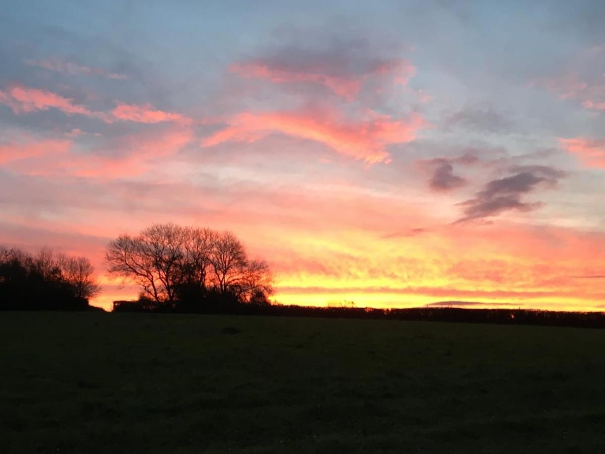 Award Winning Lower Whitsleigh Farm Cottage Roborough Eksteriør billede