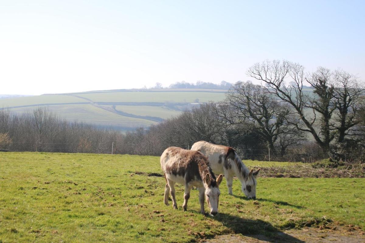 Award Winning Lower Whitsleigh Farm Cottage Roborough Eksteriør billede