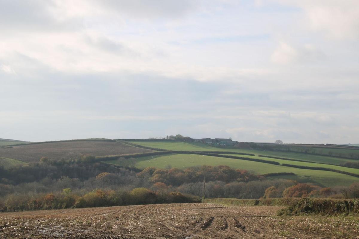 Award Winning Lower Whitsleigh Farm Cottage Roborough Eksteriør billede